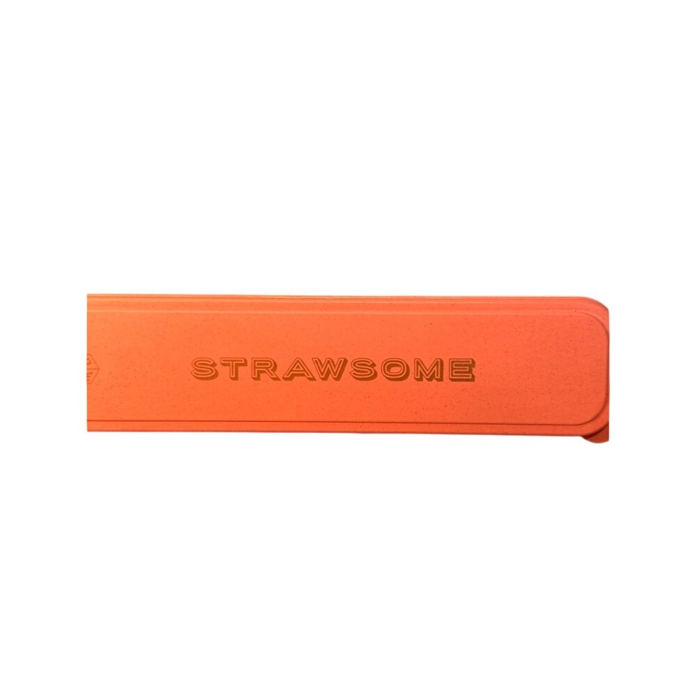 DesignWorks‎ Ink Strawsome Stainless Steel Straw Set OS Coral NEW 8 Straws Case